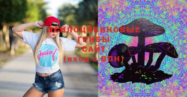 кокаин колумбия Дмитриев
