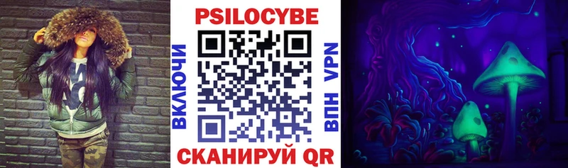 закладка  Омутнинск  Псилоцибиновые грибы MAGIC MUSHROOMS 